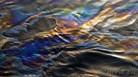 Экологическая катастрофа грозит поселку в пригороде Хабаровска